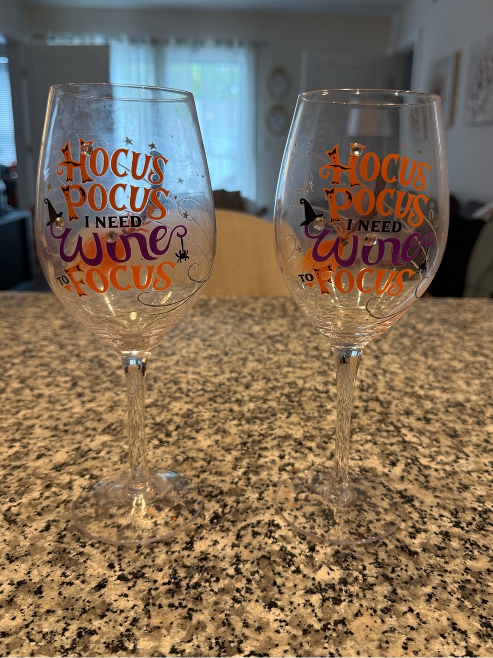 NWOT - Pier 1 Hocus Pocus Wine Glasses